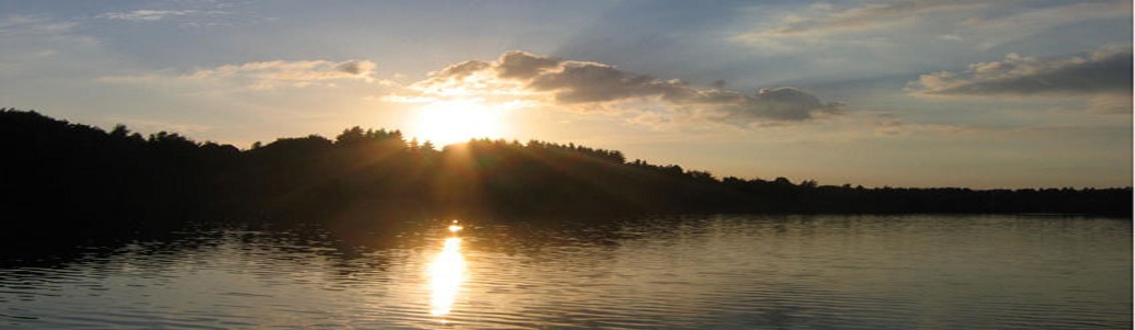Image Banner