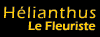 H&eacute;lianthus Le fleuriste